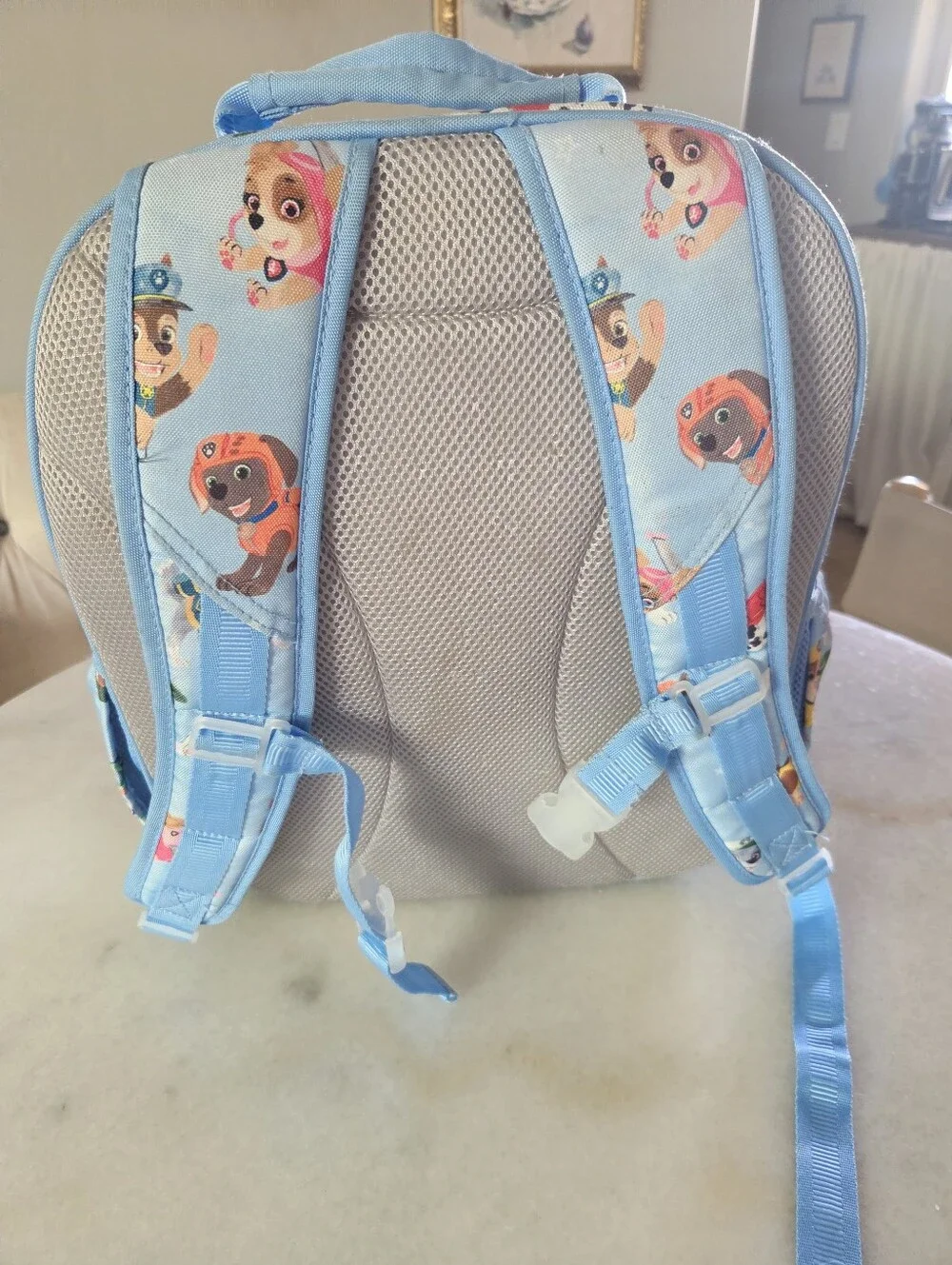 Pottery Barn Kids PAW Patrol™ Mackenzie Backpack, Size Small